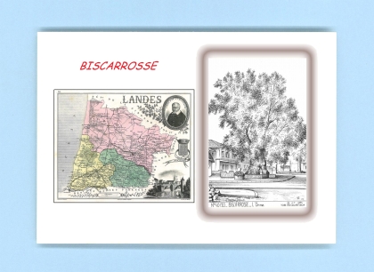 Cartes Postales impression Noir avec dpartement sur la ville de BISCARROSSE Titre : l orme