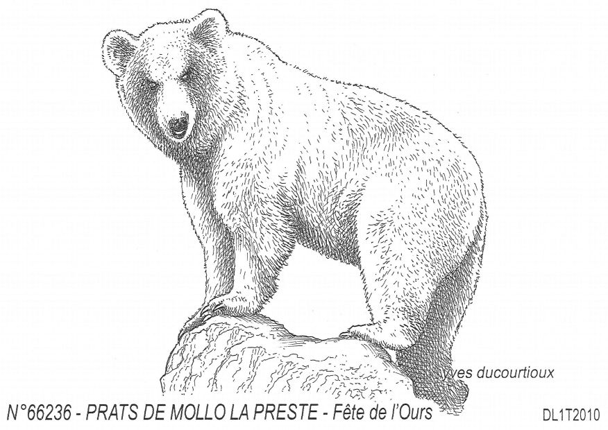 Cartes postales PRATS DE MOLLO LA PRESTE - fte de l ours