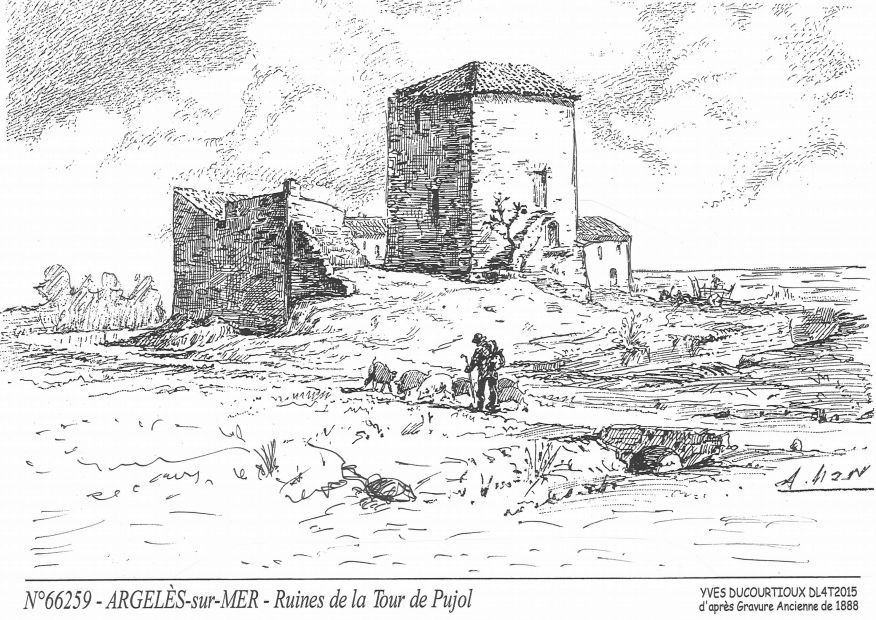 Cartes postales ARGELES SUR MER - ruines de la tour de pujol