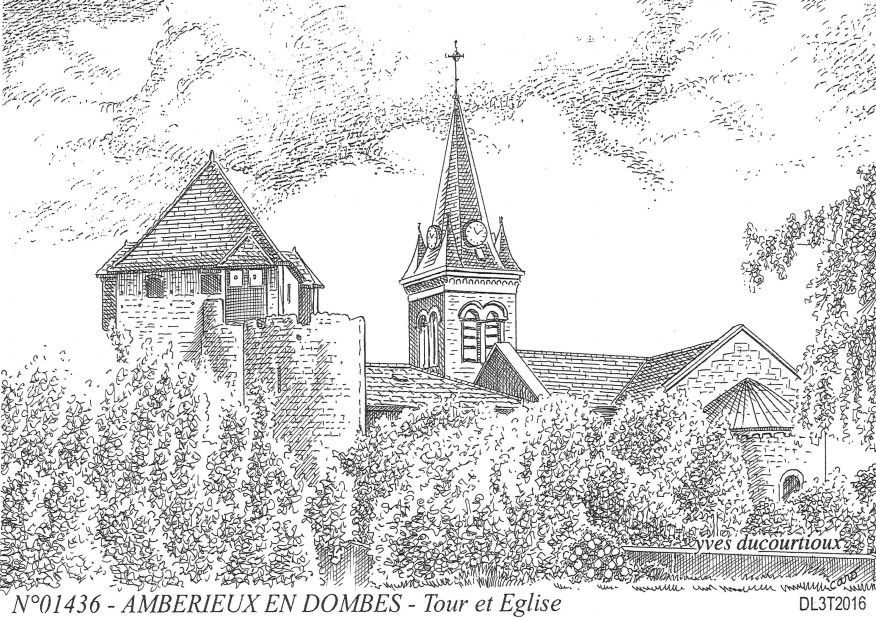 N 01436 - AMBERIEUX EN DOMBES - tour et glise