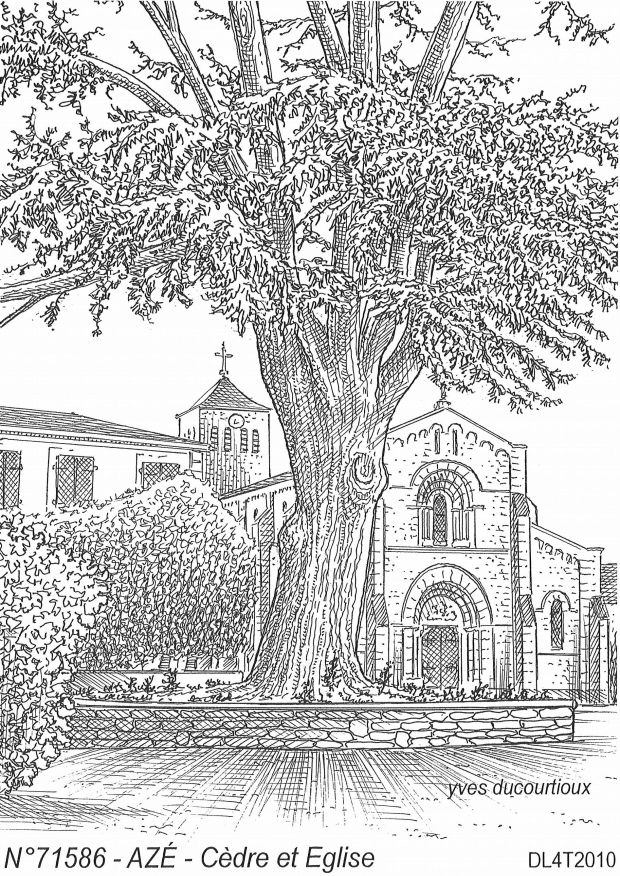 N 71586 - AZE - cèdre et église
