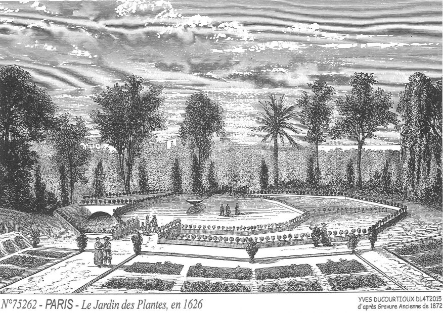 N 75262 - PARIS - le jardin des plantes en 1626 (d'aprs gravure ancienne)