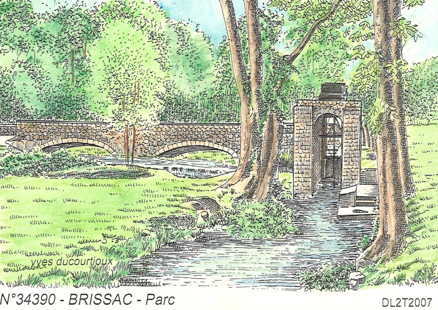 N 34390 - BRISSAC - parc