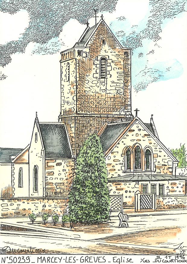 N 50239 - MARCEY LES GREVES - glise