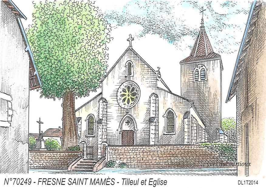 N 70249 - FRESNE ST MAMES - tilleul et église