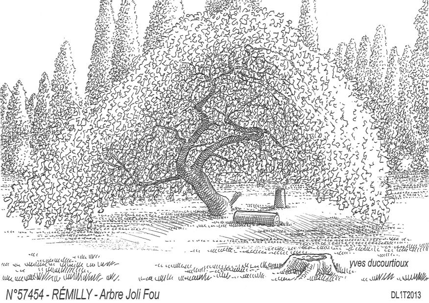 Souvenirs REMILLY - arbre joli fou