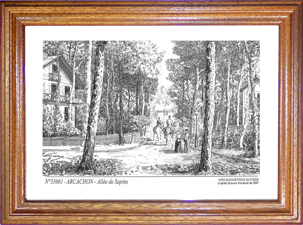 N 33661 - ARCACHON - allée de sapins (d'aprs gravure ancienne)